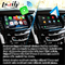 Interfaccia della scatola carplay senza fili automatica di navigazione di Android video per Cadillac Escalade